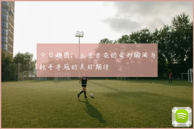 今日趣图：土豆开花的奇妙瞬间与枪手夺冠的美好期待