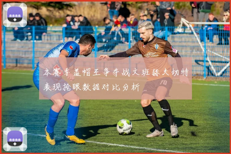 本赛季盖帽王争夺战文班赫夫切特表现抢眼数据对比分析