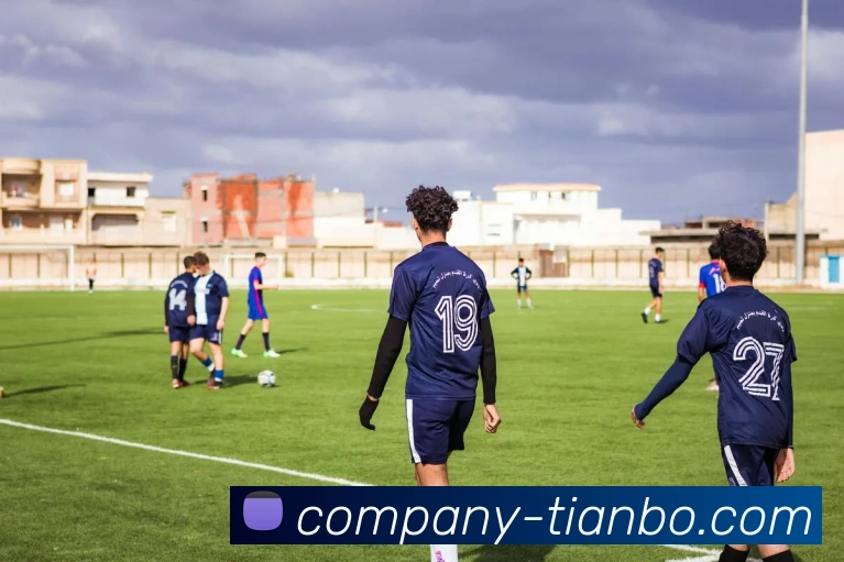 天博体育平台生态图