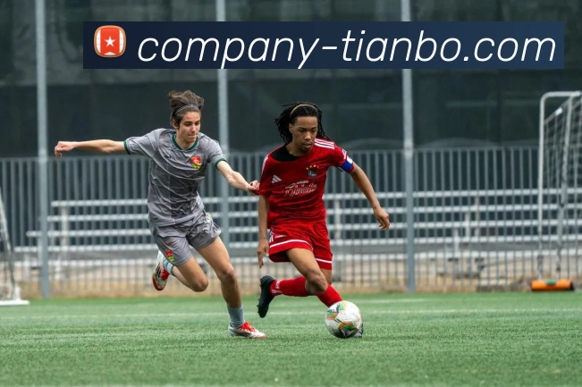 天博体育APP 封面图